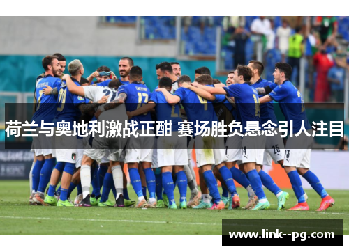 荷兰与奥地利激战正酣 赛场胜负悬念引人注目