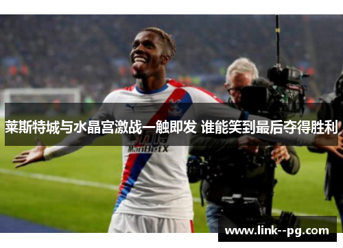 莱斯特城与水晶宫激战一触即发 谁能笑到最后夺得胜利