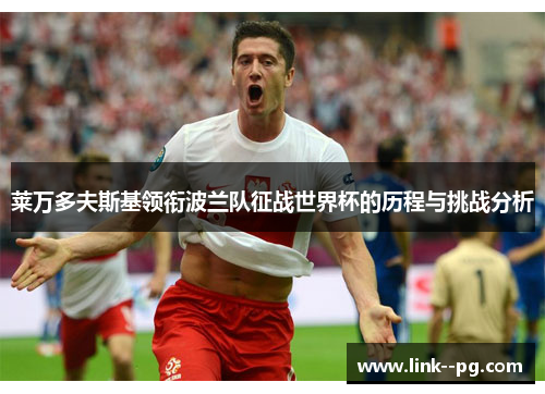 莱万多夫斯基领衔波兰队征战世界杯的历程与挑战分析
