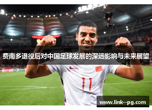 费南多退役后对中国足球发展的深远影响与未来展望