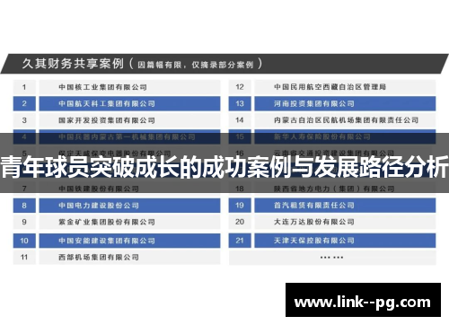 青年球员突破成长的成功案例与发展路径分析